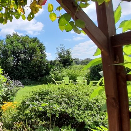 Relax in the lush garden